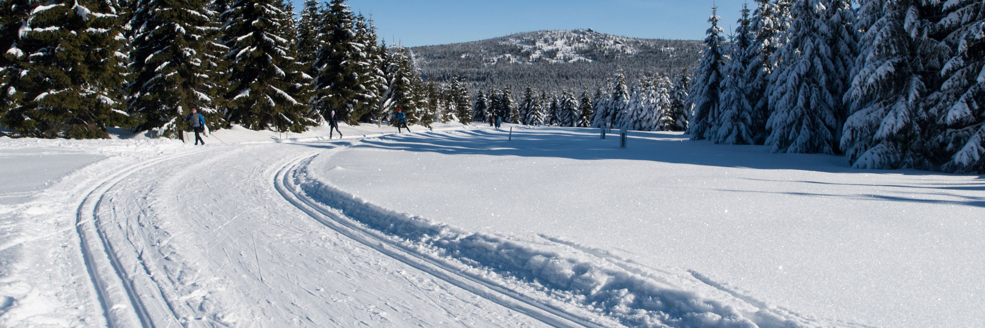 Skiing trail