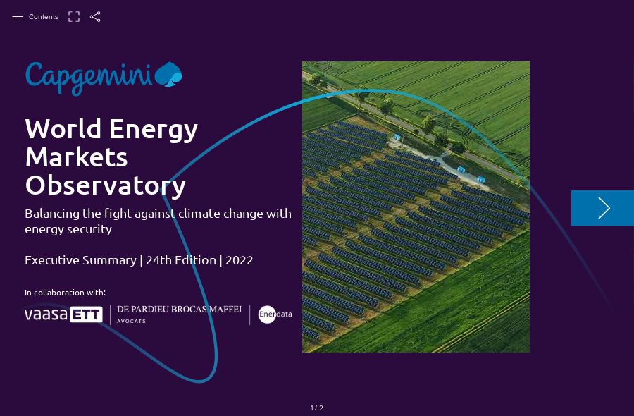 wemo 2022 summary.jpg
