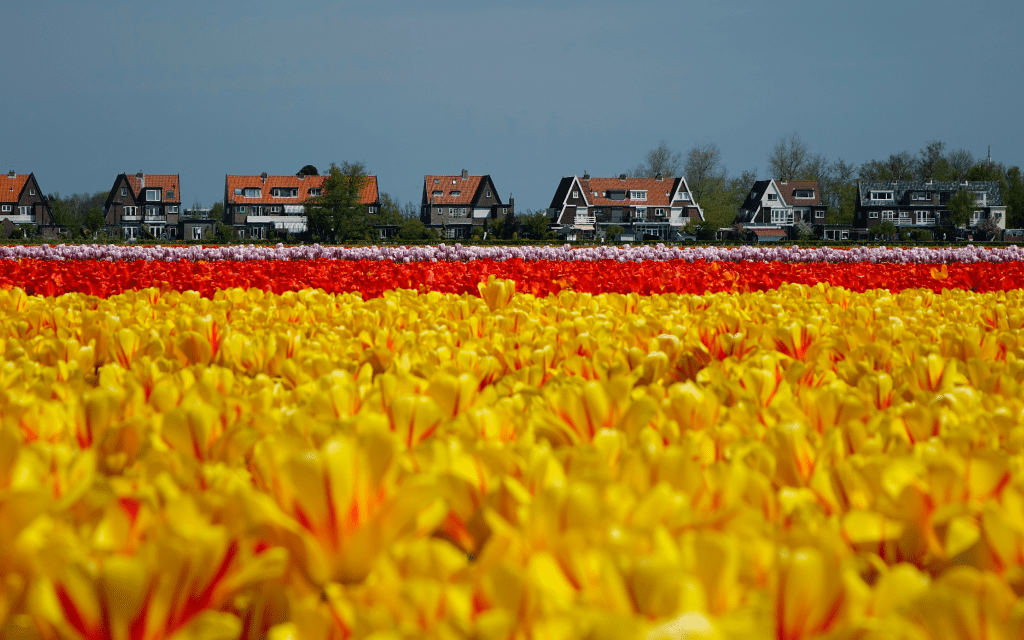 A digital future on your terms: A Dutch municipality takes s...